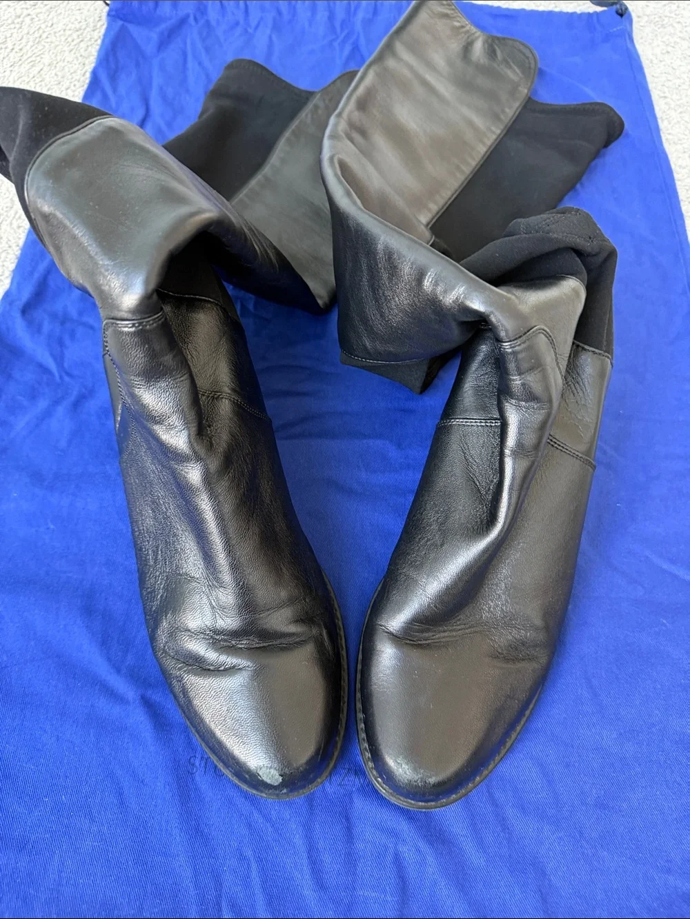 Stuart Weitzman elegant over